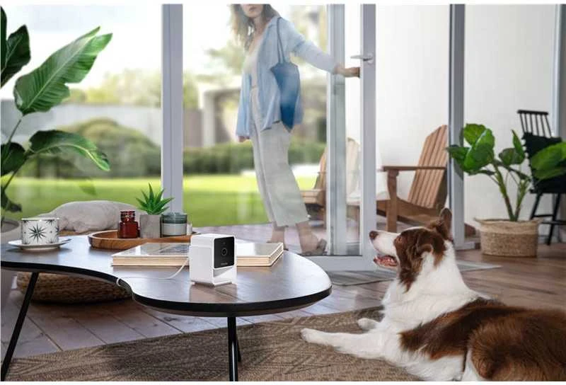 PetCube Cam