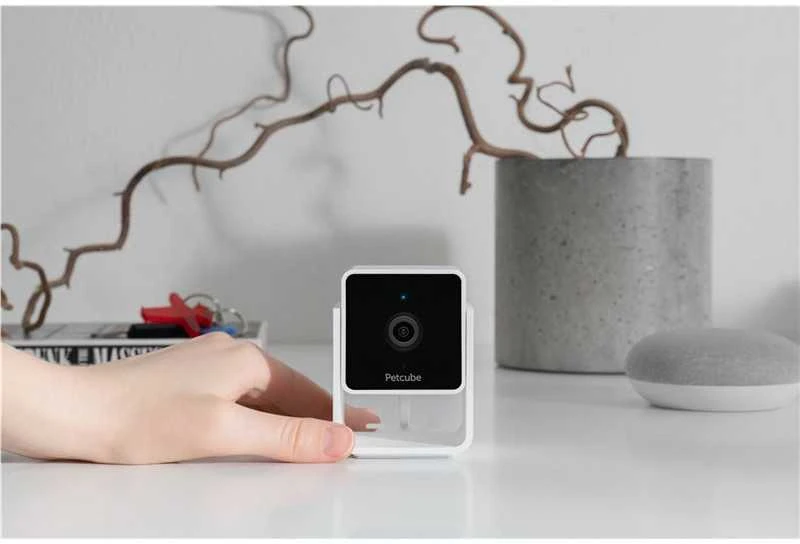 PetCube Cam
