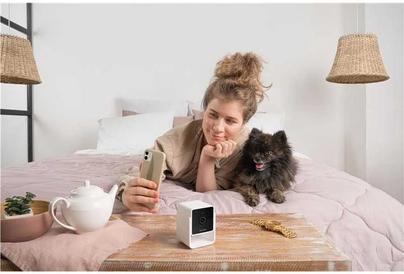 PetCube Cam