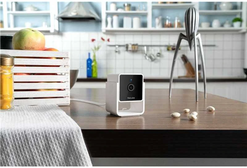 PetCube Cam