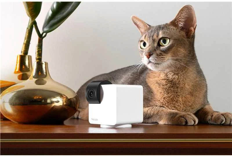 PetCube Cam 360