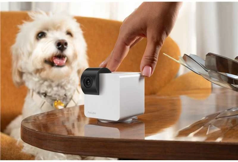 PetCube Cam 360