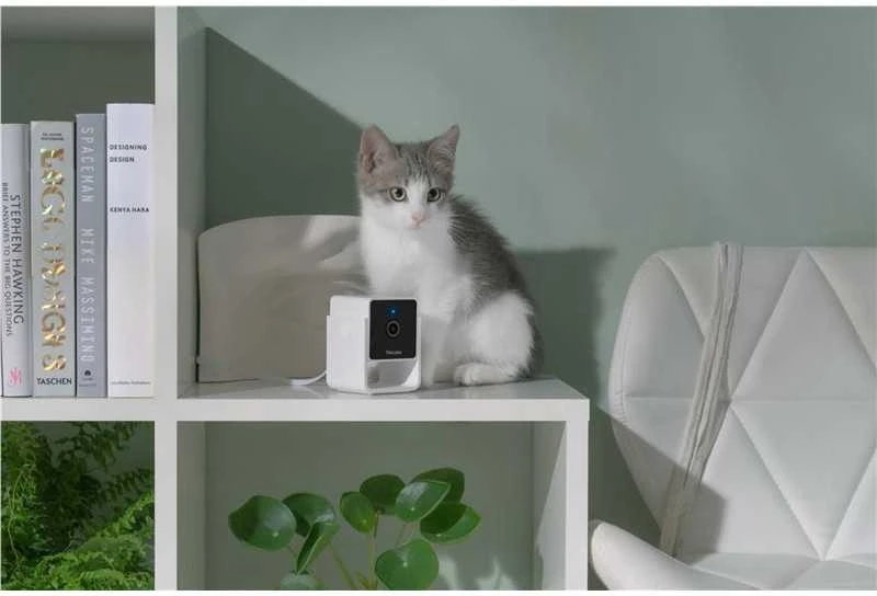 PetCube Cam