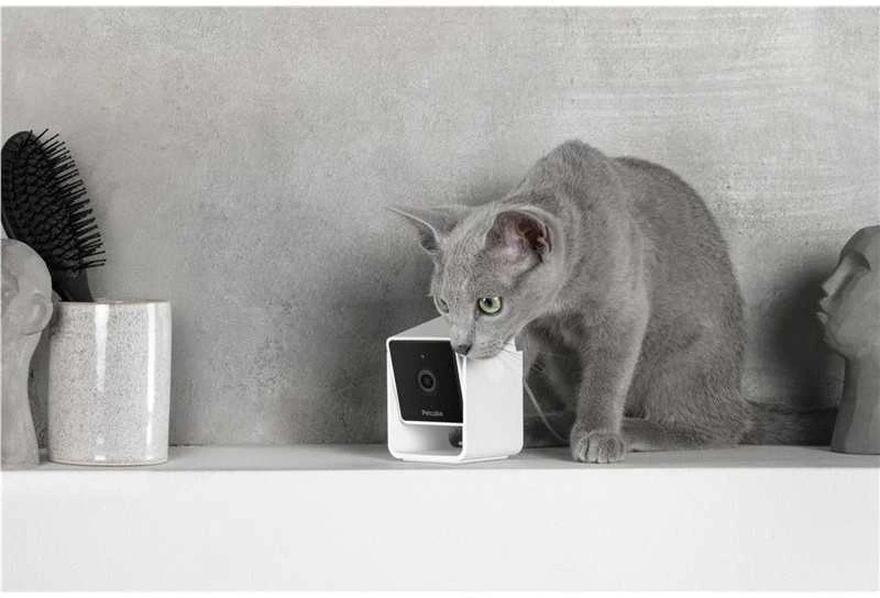 PetCube Cam