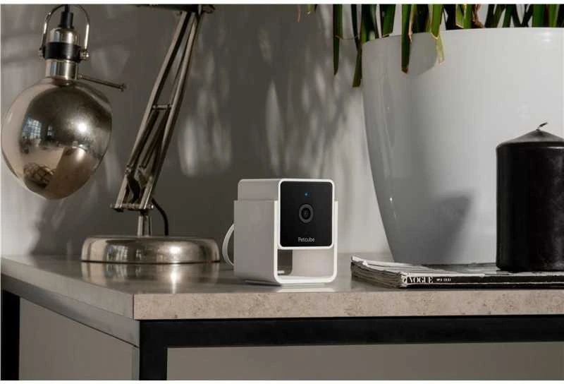 PetCube Cam