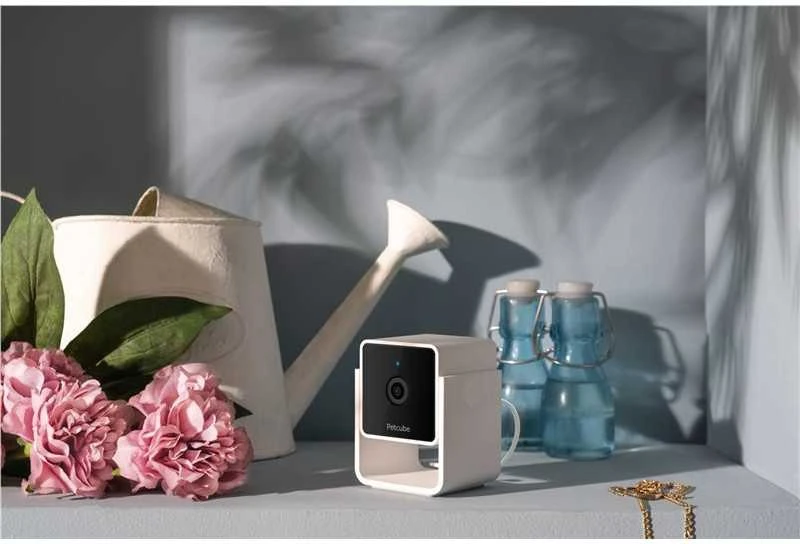 PetCube Cam