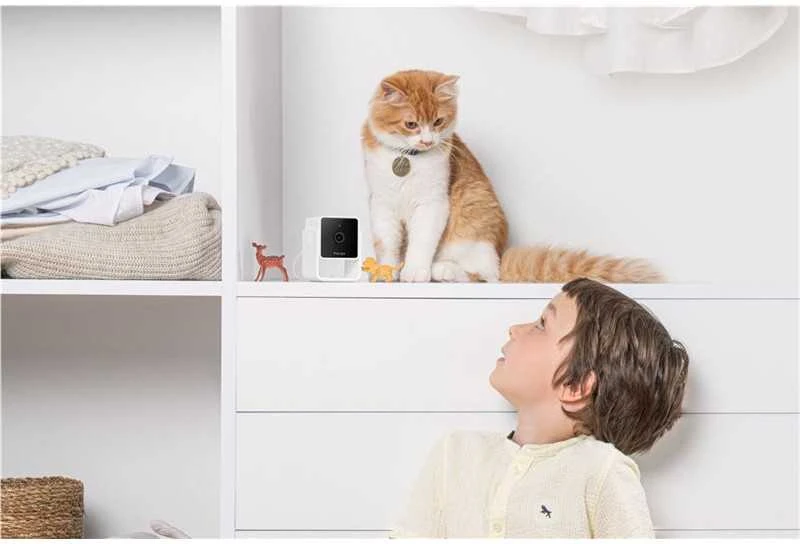 PetCube Cam