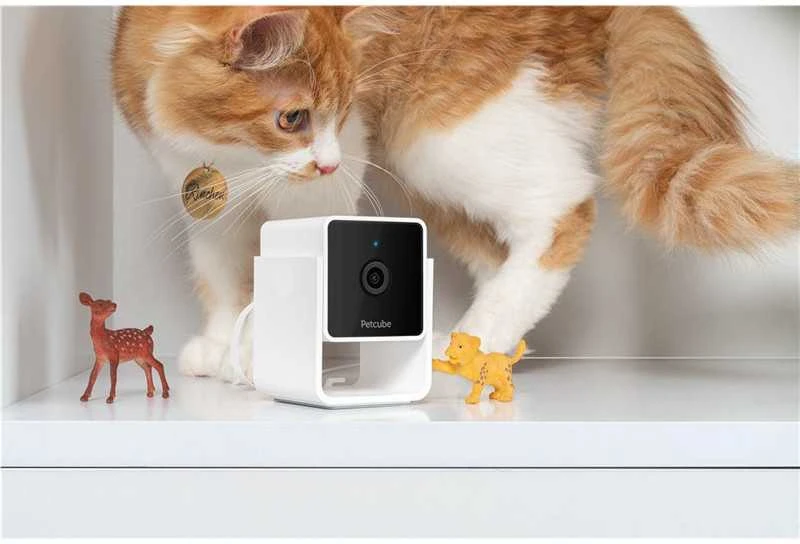 PetCube Cam