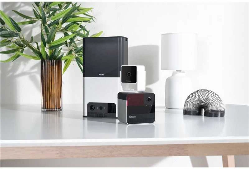 PetCube Cam