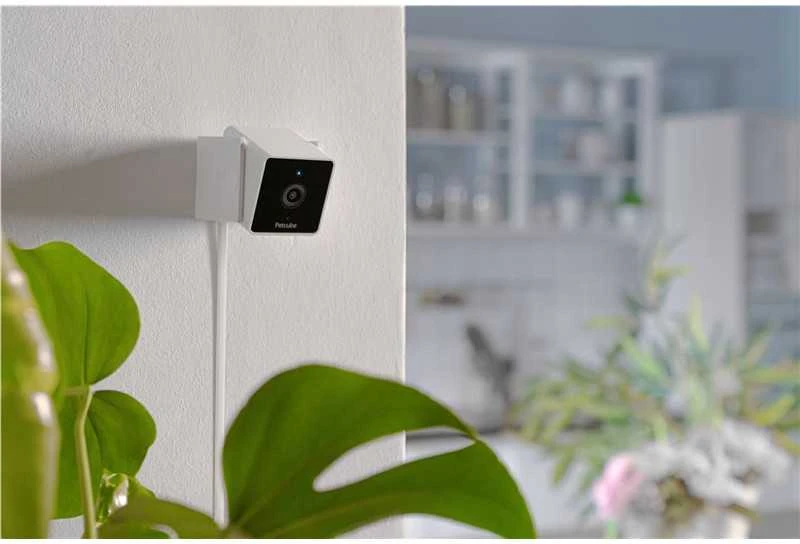 PetCube Cam