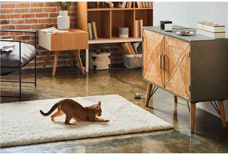 Petcube Play 2