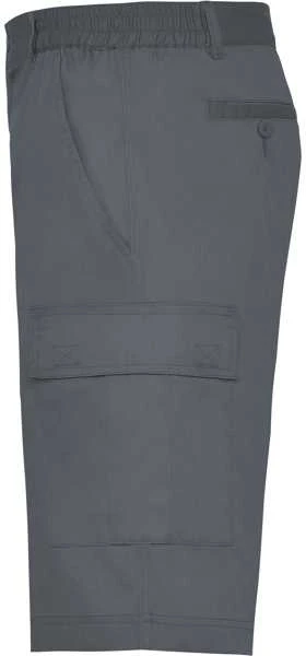 Roly Bermudų šortai su kišenėmis ARMOUR Švinas