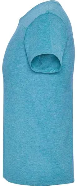 Roly Trumpų rankovių marškinėliai su viržių raštu FOX Heather turquoise