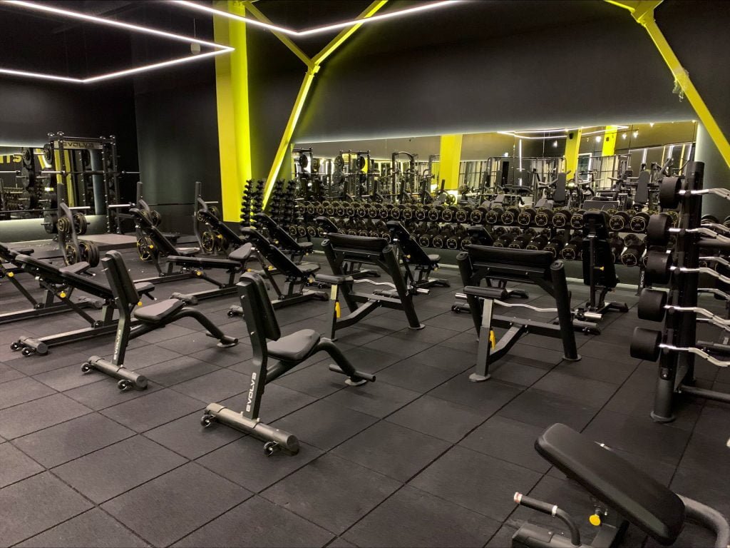 Evolve Prime Series škotiškas bicepsų suoliukas aprašymas - Prekės nuotrauka