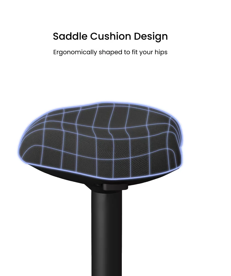 Ergonominė biuro kėdė Flexispot, reguliuojamo aukščio, 360° pasukama