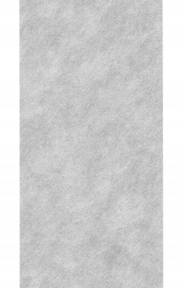 Juosta hidroizoliacijai 25cm 30mb Folija skystyje G03