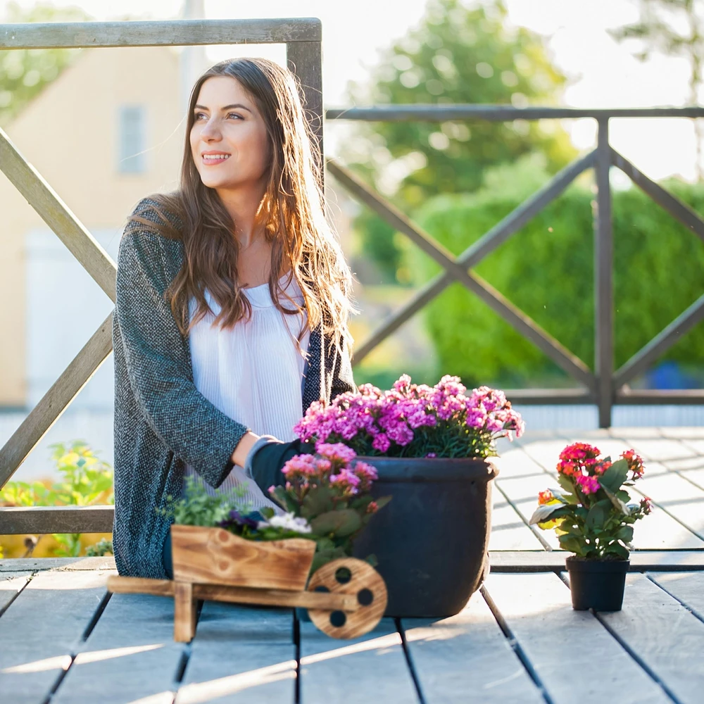 Relaxdays 2 vnt. karučio formos vazonų rinkinys