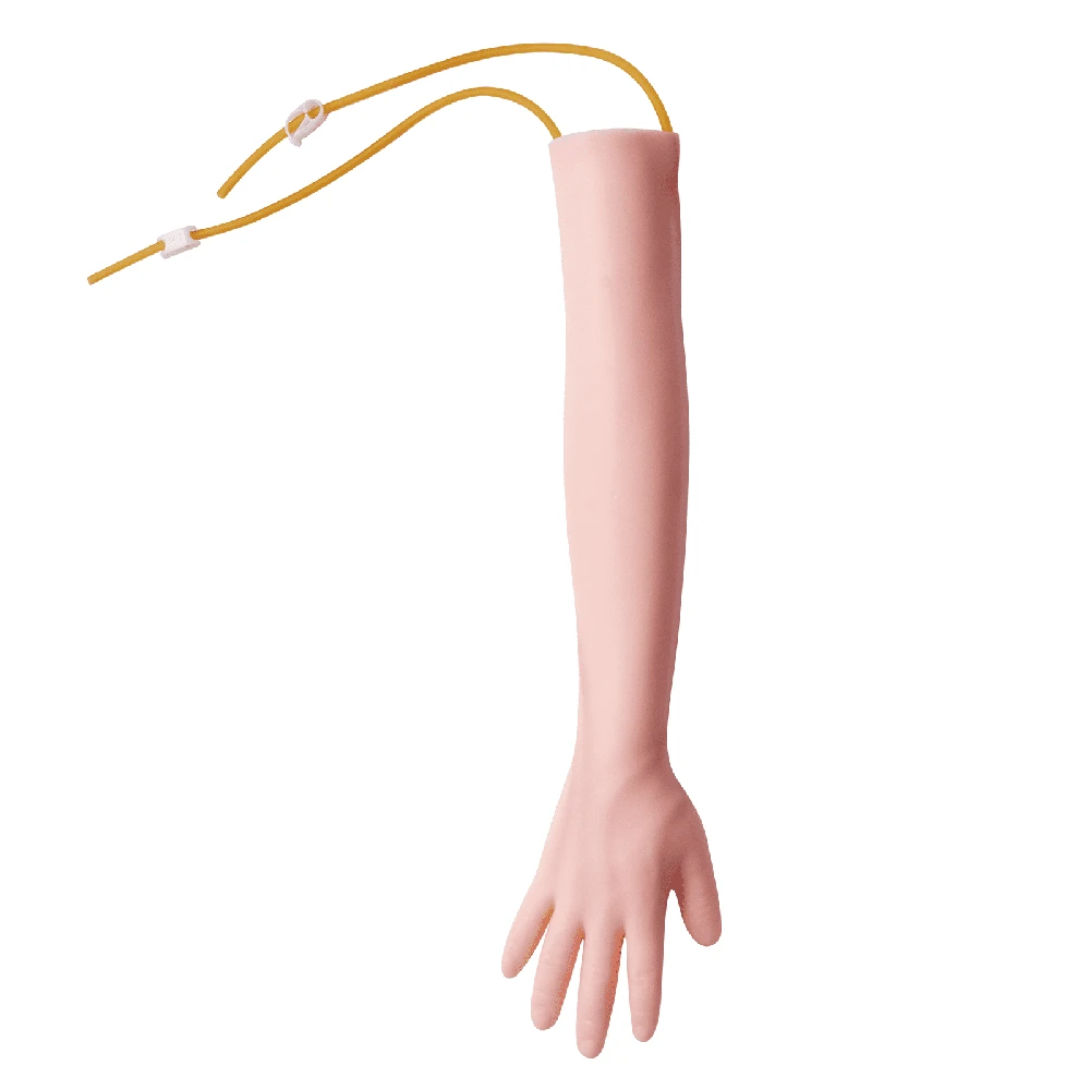 VEVOR Flebotomijos praktikos rinkinys IV venopunkcijai