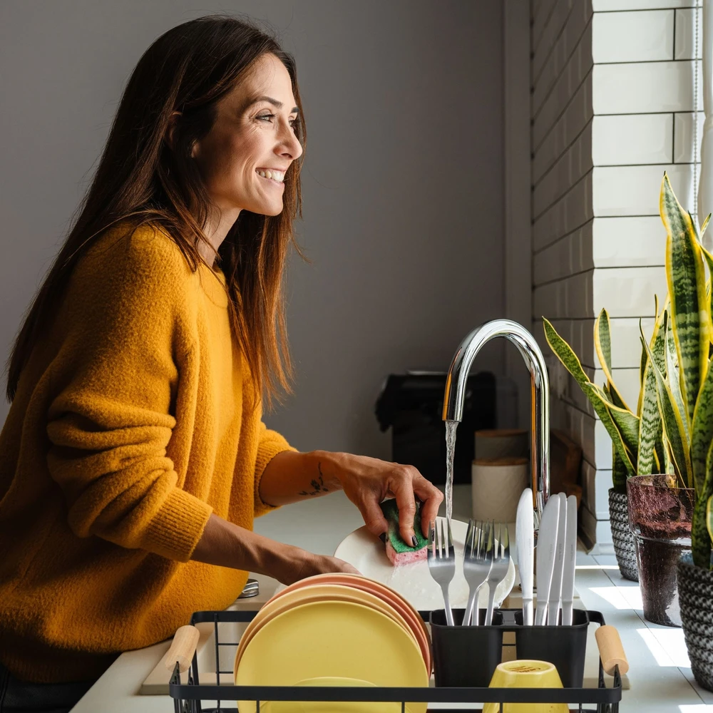 Relaxdays Indų džiovyklė su nuvarvėjimo padėklu