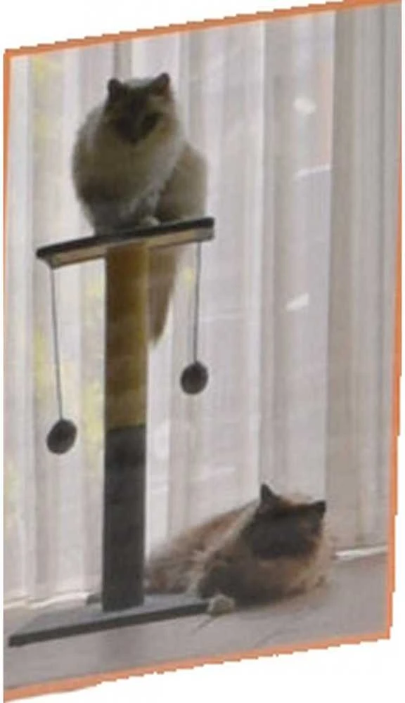 Cats Collection Kačių draskyklė su medžiu ir kamuoliukais