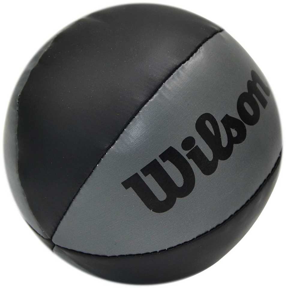 Krepšinio lenta 29x24 cm NBA Wilson