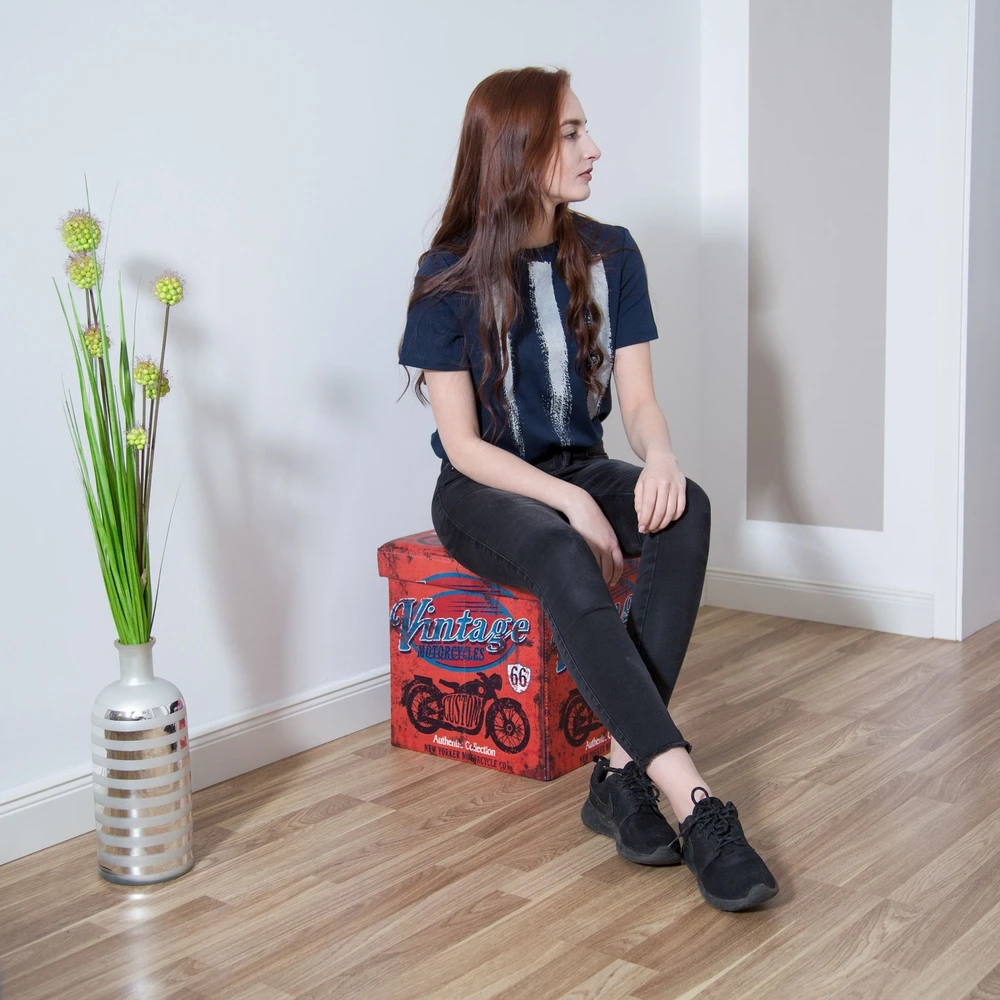 Relaxdays Madingas sulankstomas pufas su laikymo vieta