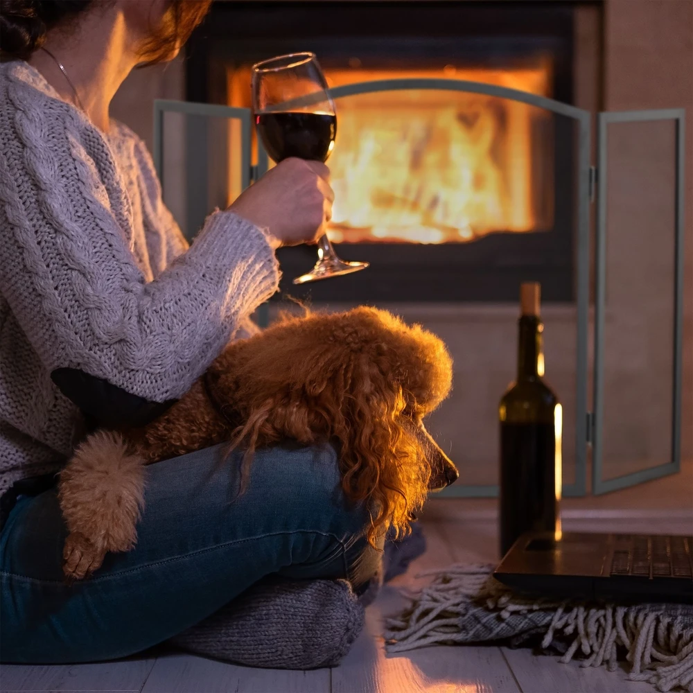 Relaxdays Plieninė židinio apsauga