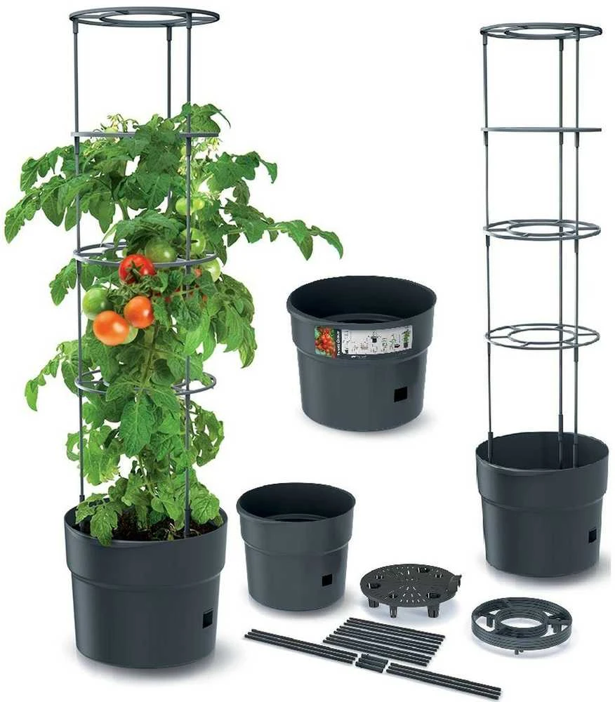 Prosperplast Pomidoro sodinimo vazonas su kopetėlėmis 18 L