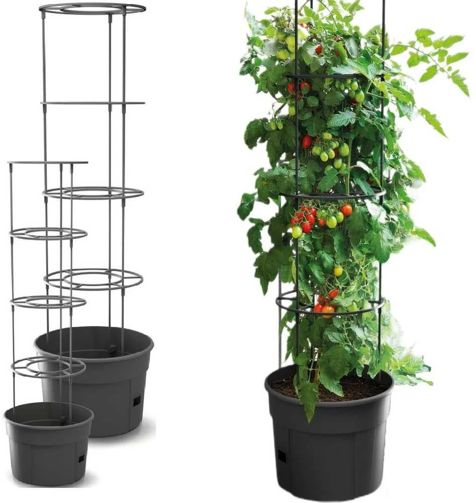 Prosperplast Vazonas Pomidorams Ipom300 24 cm