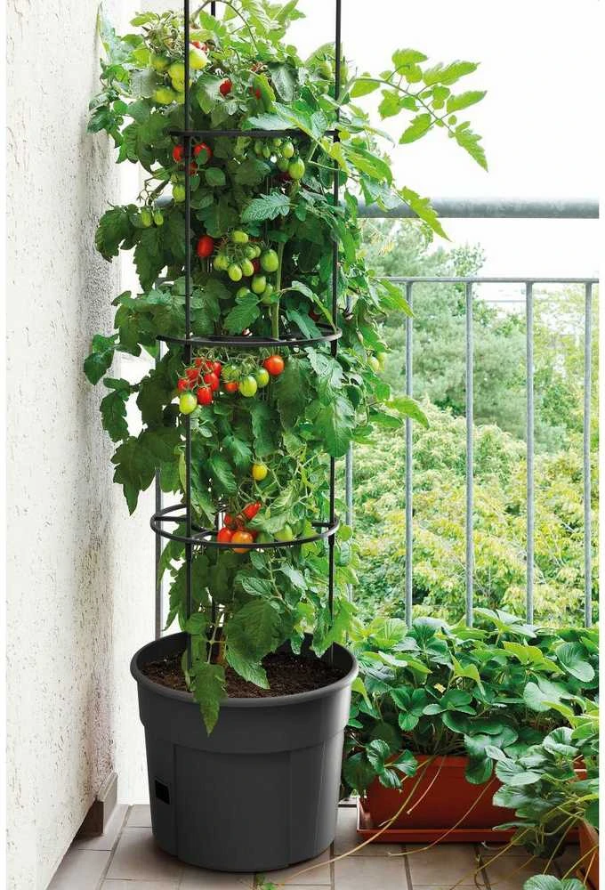 Prosperplast Vazonas Ipom400 31x39 cm