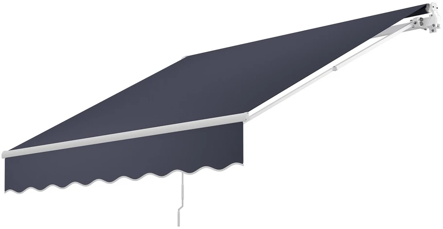 VEVOR Rankinė ištraukiama markizė 300 x 250 cm