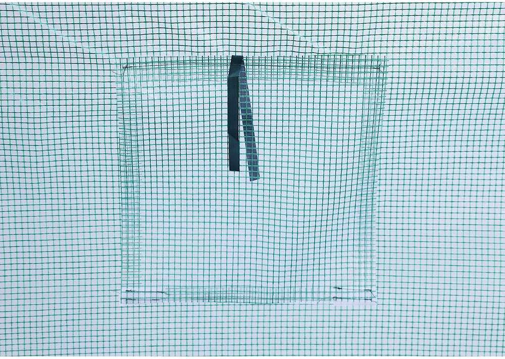 Saska Garden Šiltnamis 300x600x200 cm PE plėvele