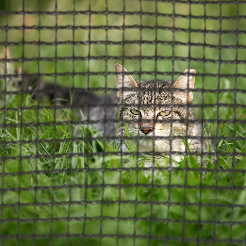 Relaxdays Trampolino rėmo tinklas
