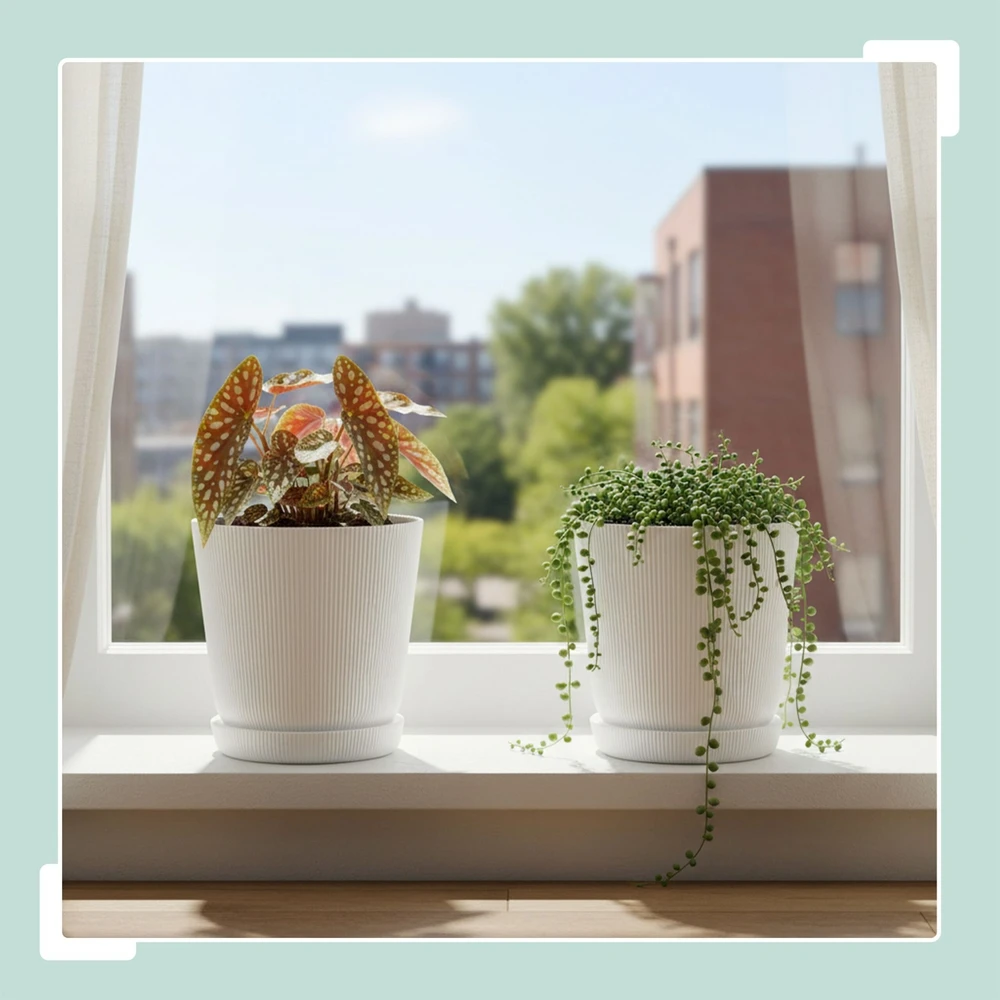 Relaxdays Vazonai su padėklais, 2 vnt. rinkinys
