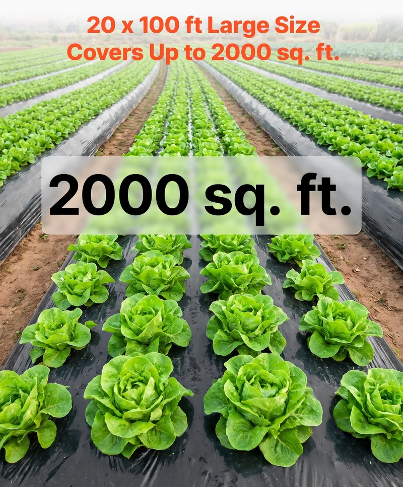VEVOR 0,15 mm plastikinė plėvelė 6,1 x 30,48 m juoda