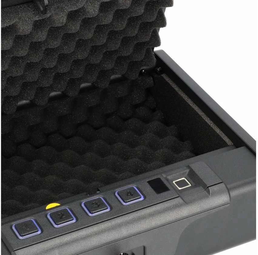 Brihard Portable Pistol Biometric