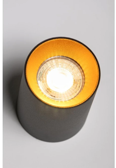 Lubinis šviestuvas GTV Ceiling fixture AERO II, IP20, round, juodas