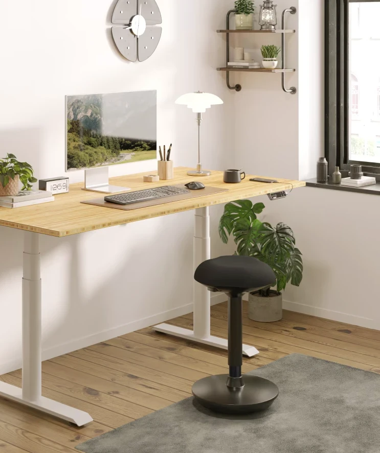 Ergonominė biuro kėdė Flexispot, reguliuojamo aukščio, 360° pasukama (Pažeista pakuotė)