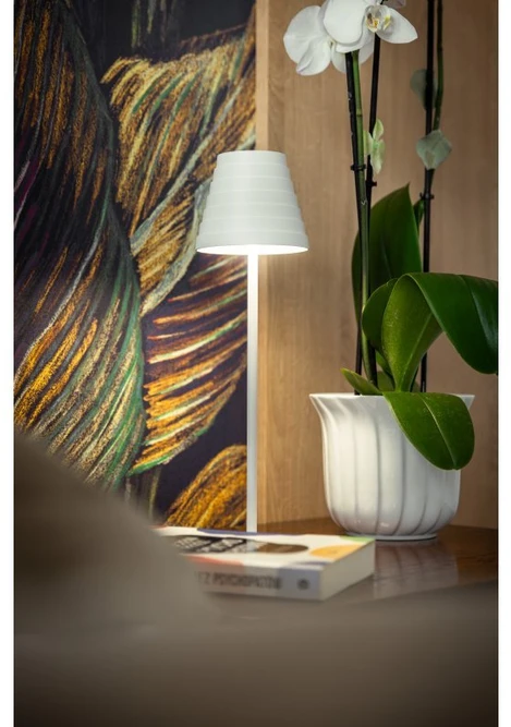 'FIZZI Led table lamp, 2,5W, 200lm, DC 5V, 1A,4000 K, battery 4000 mAh, baltas