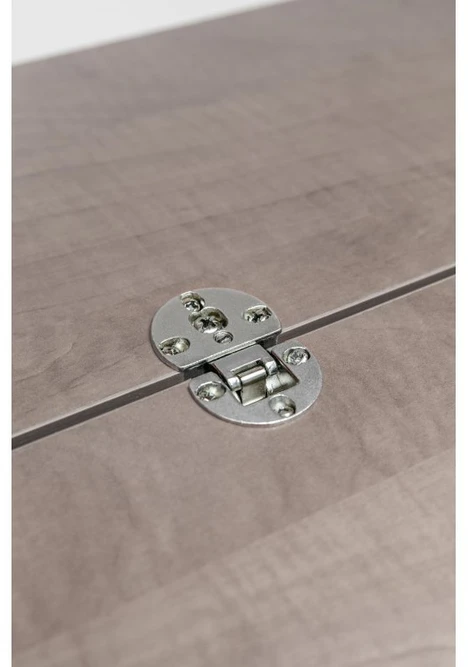 Flap hinge (fits flap VIM lift) - nickel SET