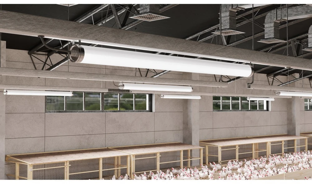 Hermetiškas šviestuvas FARM, LED, 50W, 7500lm, 4000K, AC220-240V, IP65, IK08, PMMA