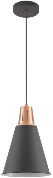Pakabinamas šviestuvas Lubų šviestuvas GIANNI,9974,AC220-240V,50/60Hz,1*E27, max.40W,IP20, skersmuo 22cm,vienguba