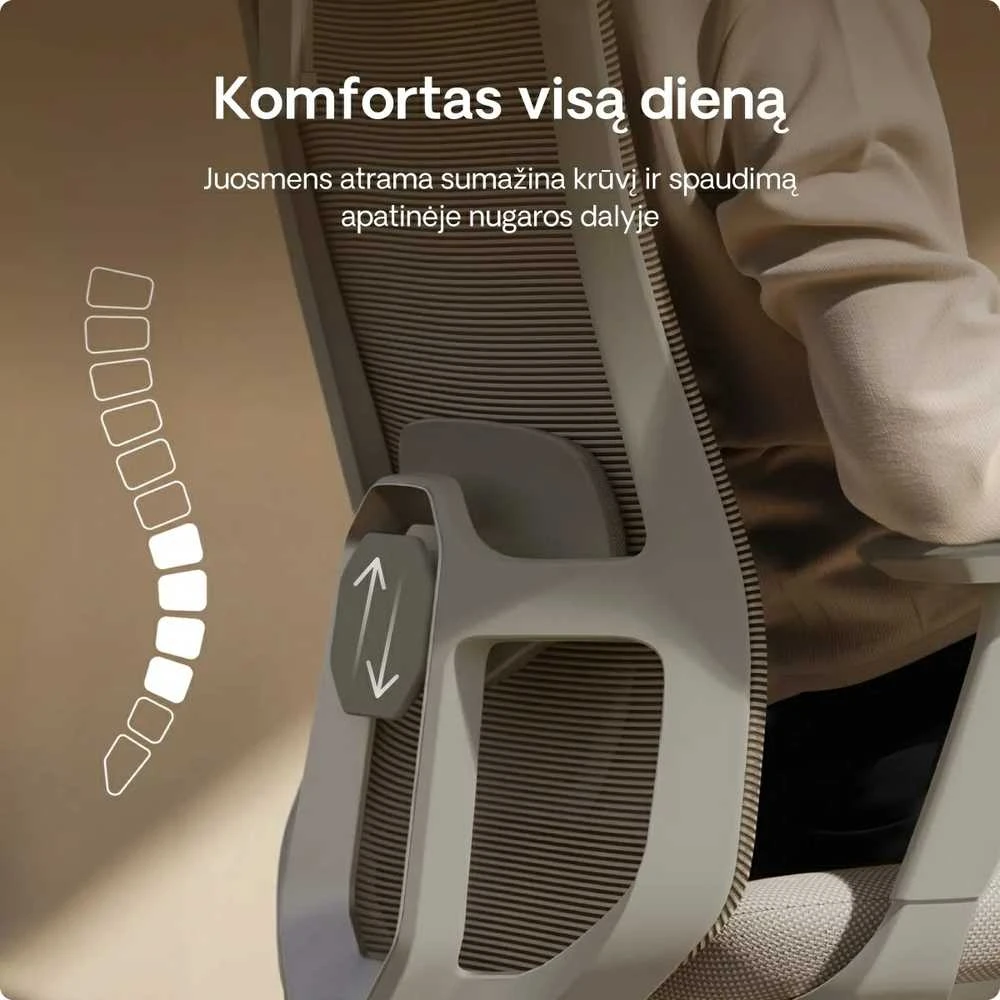 Biuro kėdė Desktronic SitOne Pilka, 4D porankiai, 6 reguliuojami taškai, BIFMA sertifikatas