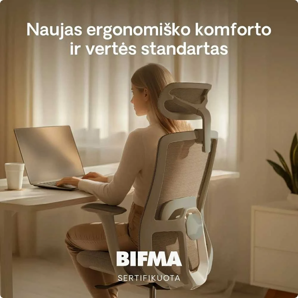 Biuro kėdė Desktronic SitOne Pilka, 4D porankiai, 6 reguliuojami taškai, BIFMA sertifikatas