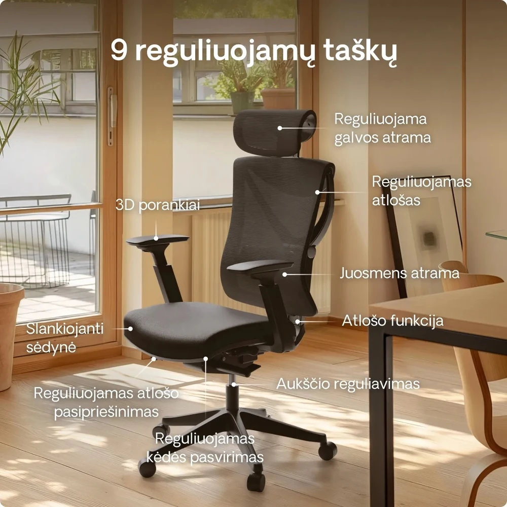 Desktronic SitPro kėdės reguliavimo taškų schema