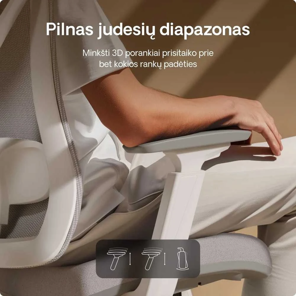 Biuro kėdė Desktronic SitPro Pilka, 3D porankiai, 10 reguliuojamų taškų, BIFMA sertifikatas