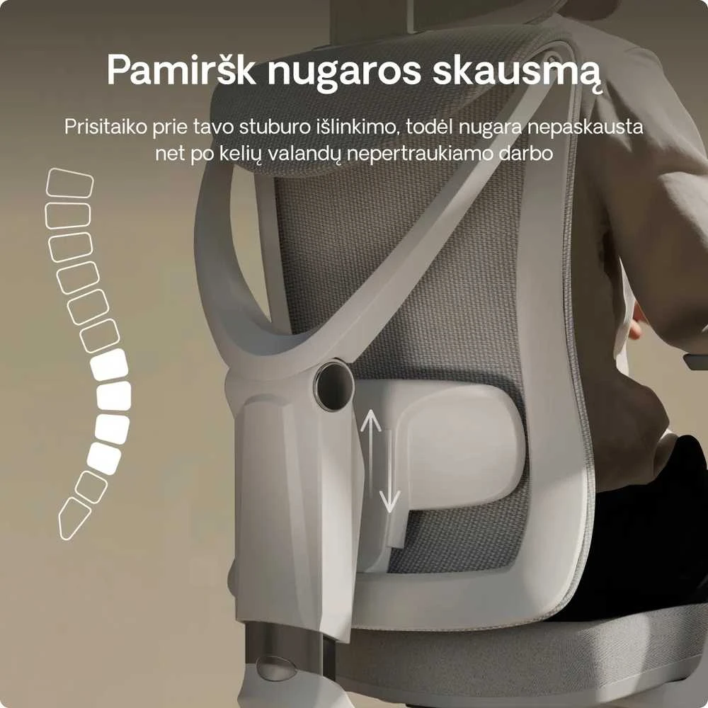 Biuro kėdė Desktronic SitPro Pilka, 3D porankiai, 10 reguliuojamų taškų, BIFMA sertifikatas