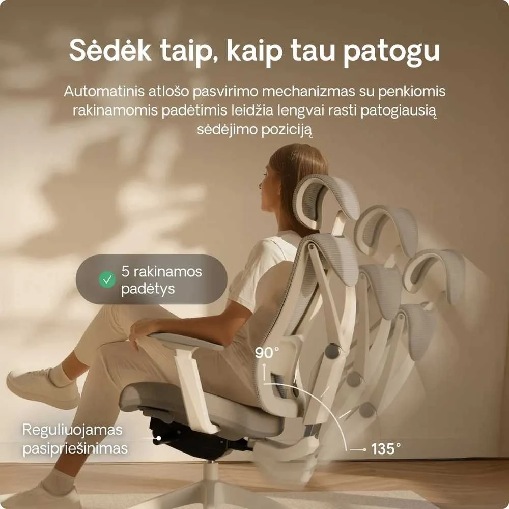 Biuro kėdė Desktronic SitPro Pilka, 3D porankiai, 10 reguliuojamų taškų, BIFMA sertifikatas