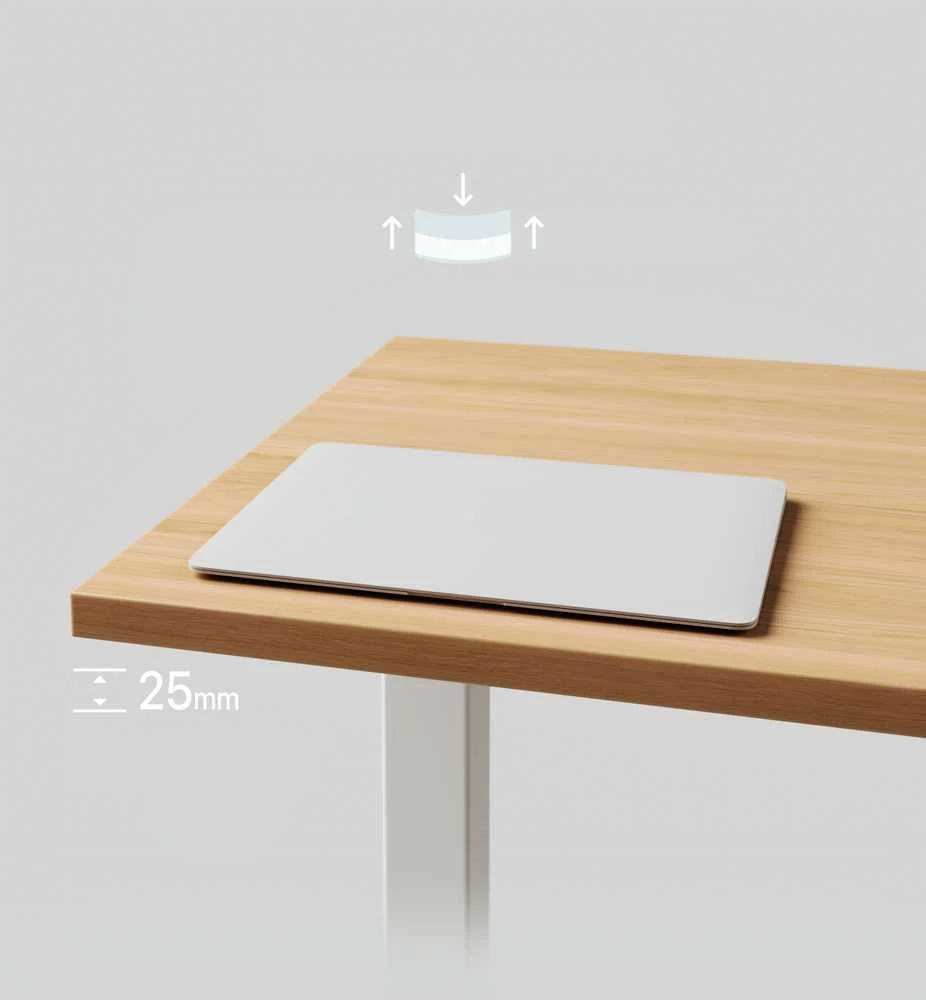 Desktronic Darbo stalo stalviršis 160x80cm Ąžuolas