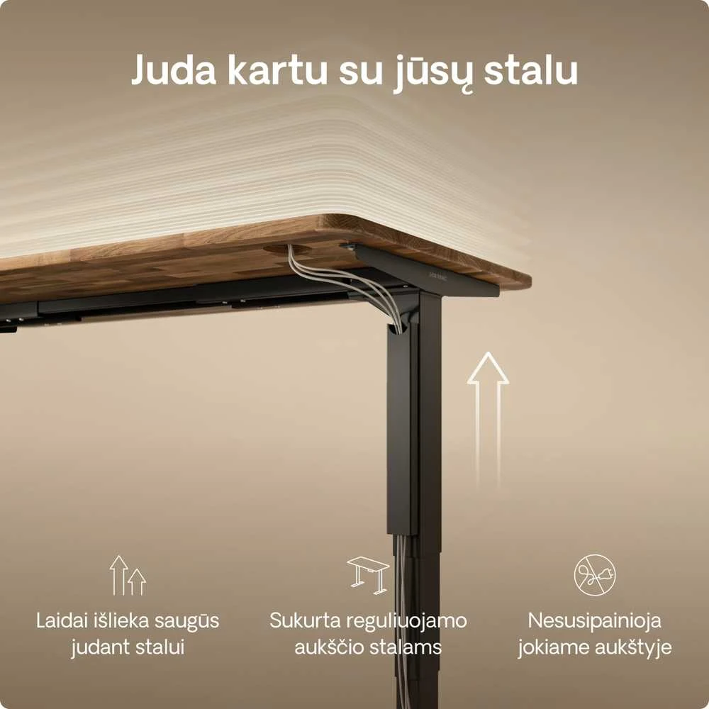 Desktronic Magnetinis darbo stalo laidų laikiklis, Metalinis, Juodas